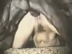A dog beat the hairy pussy of a teenage beastiality devotee.